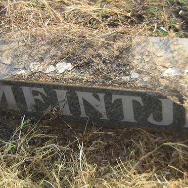 MEINTJES Johannes Petrus 1935-2003