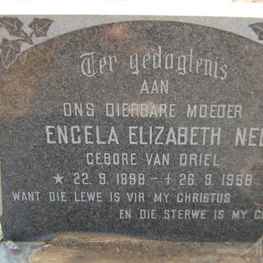 NEL Engela Elizabeth nee VAN DRIEL 1898-1968
