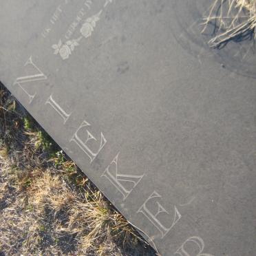 NIEKERK Eddie, van 1952-1995