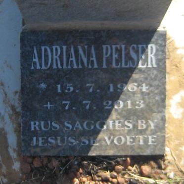 PELSER Adriana 1964-2013