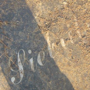 SIEBRITS D.J. de V. 1933-2004 &amp; M.J. CRONJE 1936-