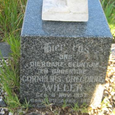 WILLER Cornelius Gregorius 1957-196?