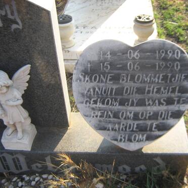 WELGEMOED Desery 1990-1990