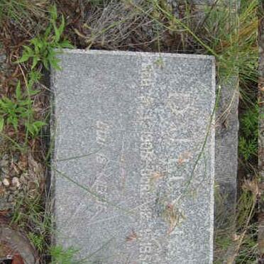 Free State, SENEKAL district, Leonie 724, farm cemetery_1