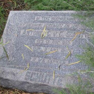 Free State, SENEKAL district, Leonie 724, farm cemetery_2