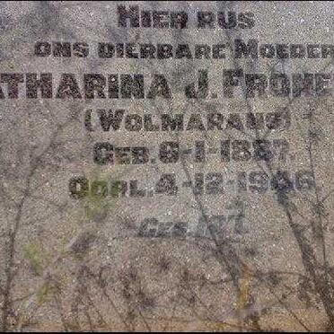 Free State, SENEKAL district, The Twins 833, Rietspruit, farm cemetery