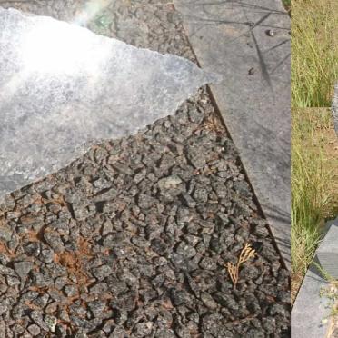 BEKKER Johanna F. nee WEPENER 1918-1950