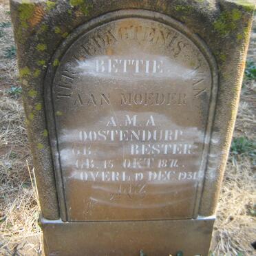 OOSTENDURP A.M.A. nee BESTER 1874-1931