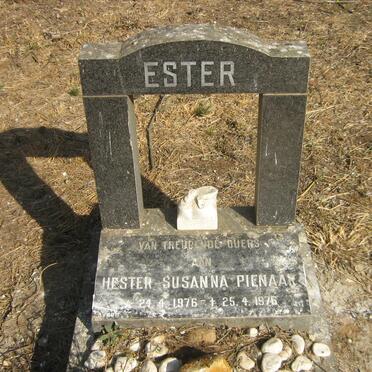 PIENAAR Hester Susanna 1976-1976