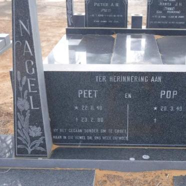 NAGEL Peet 1948-1980 &amp; Pop 1949-