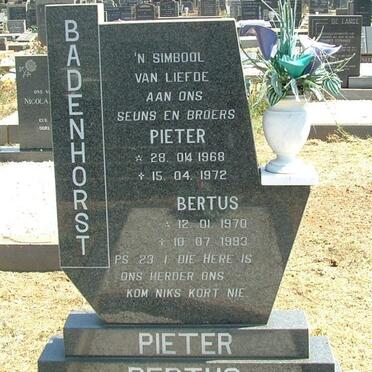 BADENHORST Pieter 1968-1972 :: BADENHORST Bertus 1970-1993