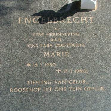 ENGELBRECHT Marie 1980-1980