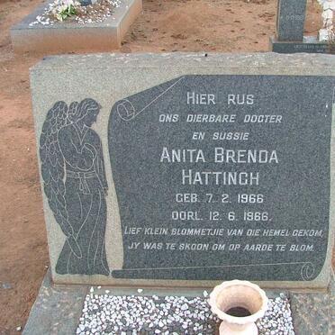 HATTINGH Anita Brenda 1966-1966