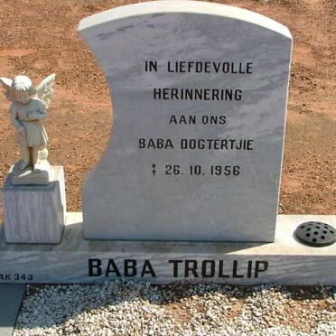 TROLLIP Baba 1956-1956