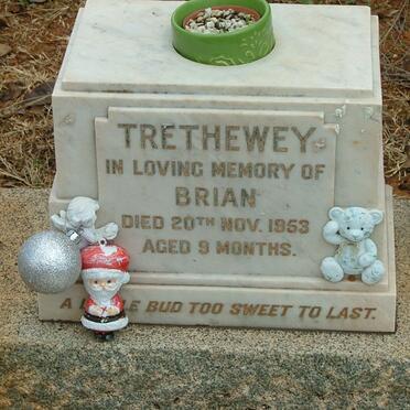 TRETHEWEY Brian -1953