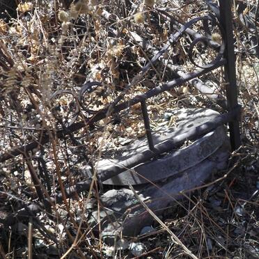 BIERMAN Adolf Siegfried 1827-1902