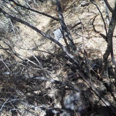 Gauteng, ALBERTON district, Rural (farm cemeteries)