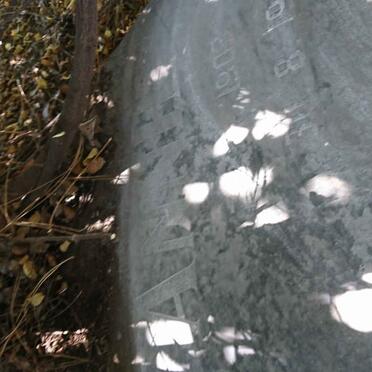 WENTZEL At 1904- &amp; Anne 1903-1980