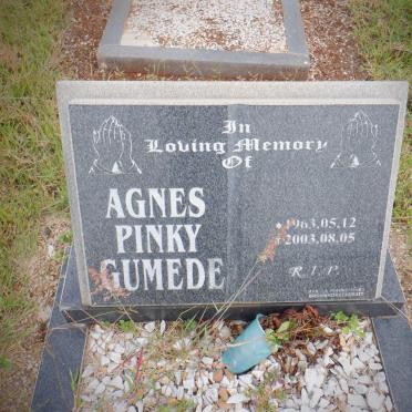 GUMEDE Agnes Pinky 1963-2003