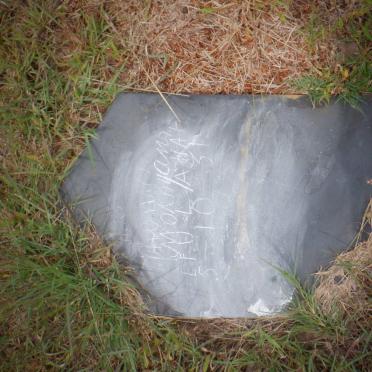 MOKOYAMA Ephemo 1931-