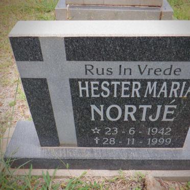 N - Vanne :: Surnames - N