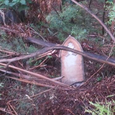 PREEZ Andries Petrus Jacobus, du 1853-1918