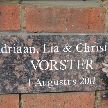 VORSTER Adriaan 2011 :: VORSTER Lia 2011 :: VORSTER Christiaan 2011