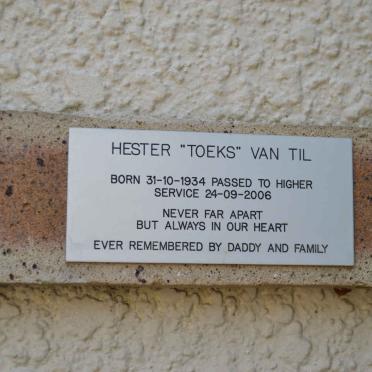 TIL Hester, van 1934-2006