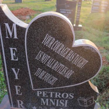 MEYER Petros Mnisi 1973-2019