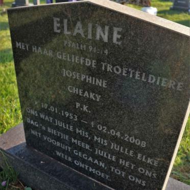 RAAL Elaine 1953-2008