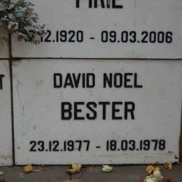 BESTER David Noel 1977-1978