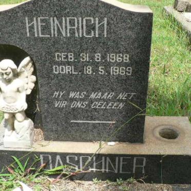 DASCHINER Heinrich 1968-1969