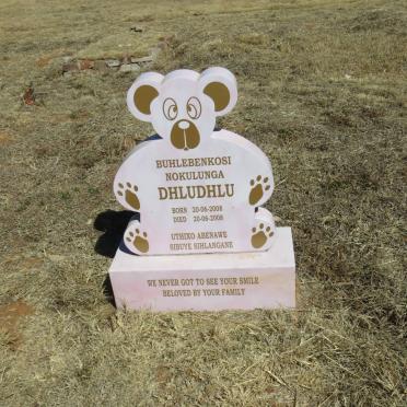 DHLUDHLU Buhlebenkosi Nokulunga 2008-2008