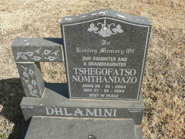 DHLAMINI Tshegofatso Nomthandazo 2004-2004