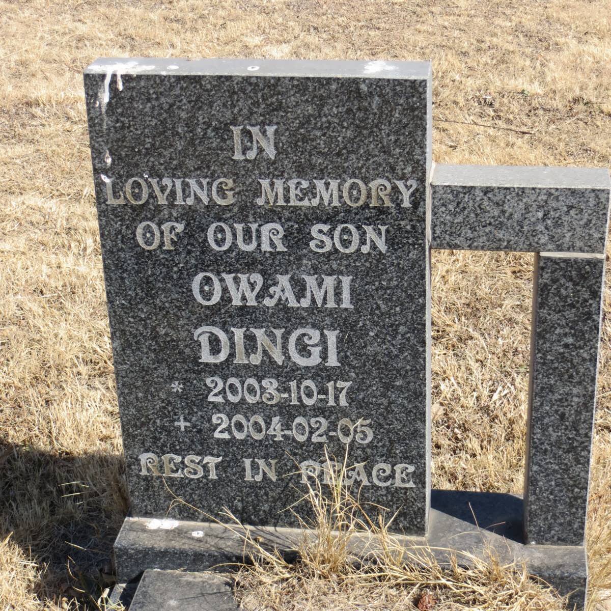 DINGI Owami 2003-2004