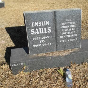 ENSLIN Sauls 1992-2000