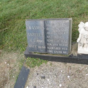 ERASMUS Anzelle 1980-1980