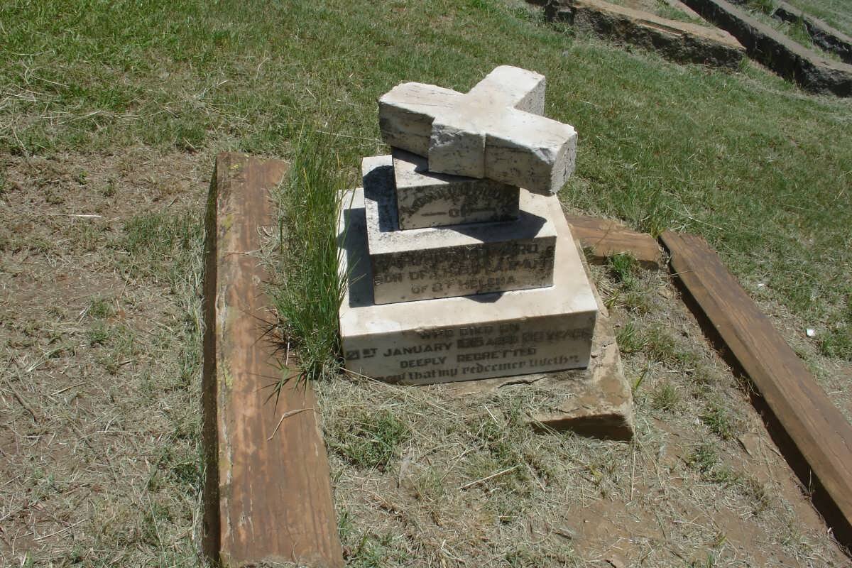 EVANS Arthur Edward -1915 