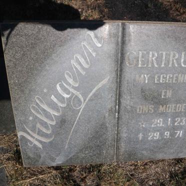 HILLIGENN Gertruida 1923-1971