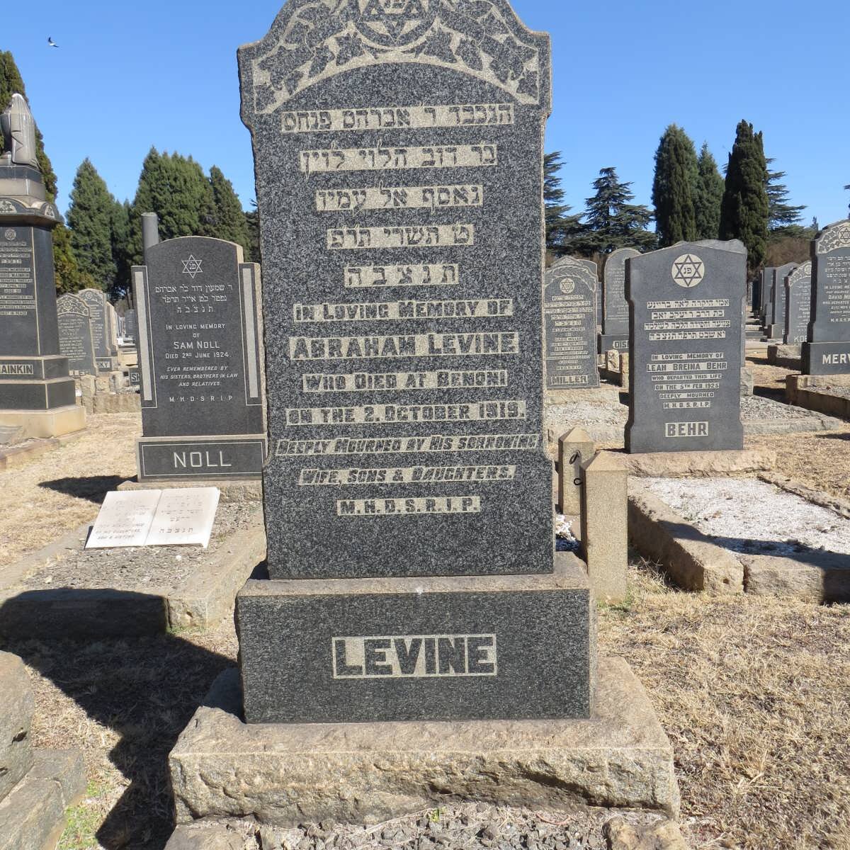 LEVINE Abraham -1919