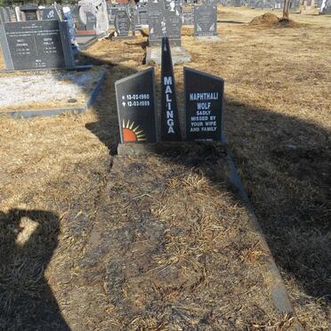 MALINGA Naphthali Wolf 1950-1989