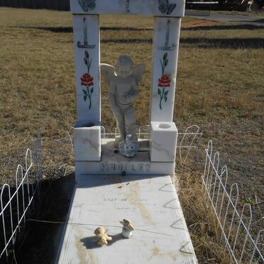 MOODLEY Joshen 2008-2008