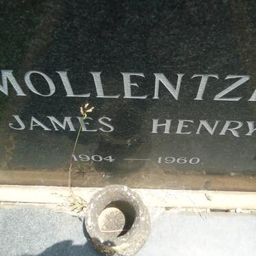 MOLLENTZE James Henry 1904-1960