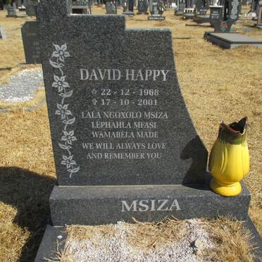 MSIZA David Happy 1968-2001