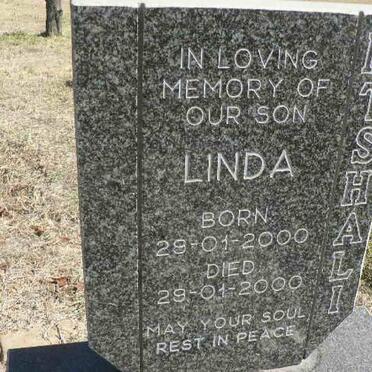 MTSHALI Linda 2000-2000