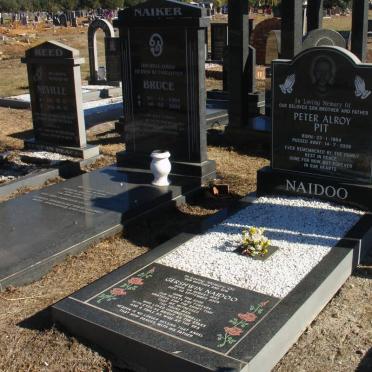 NAIDOO Peter Alroy Pit 1964-2006 :: NAIDOO Gershwin 1993-2009