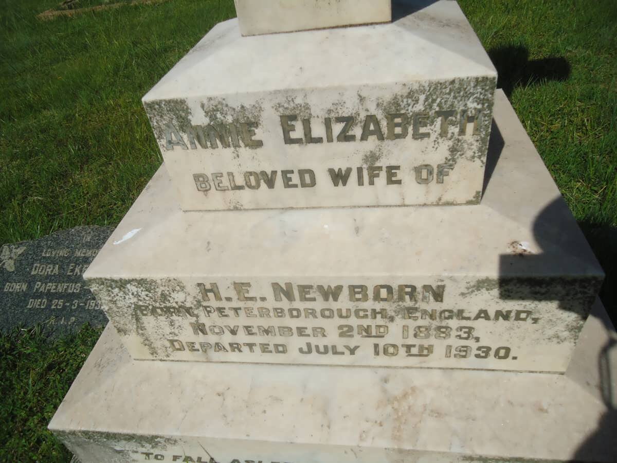 NEWBORN Annie Elizabeth 1883-1930
