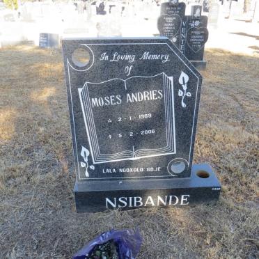 Ns - Surnames starting with the letters Ns