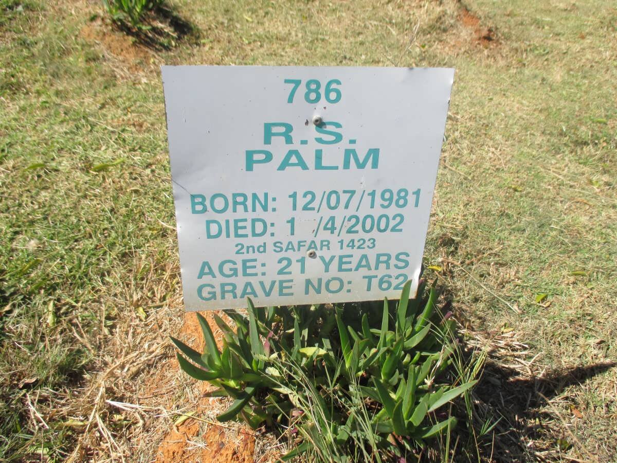 PALM R.S. 1981-2002