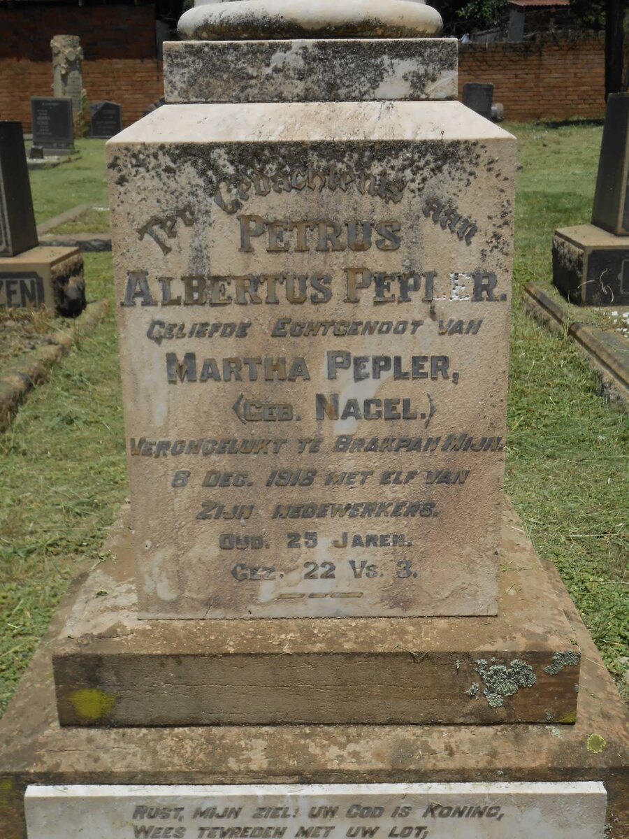 PEPLER Petrus Albertus -1918